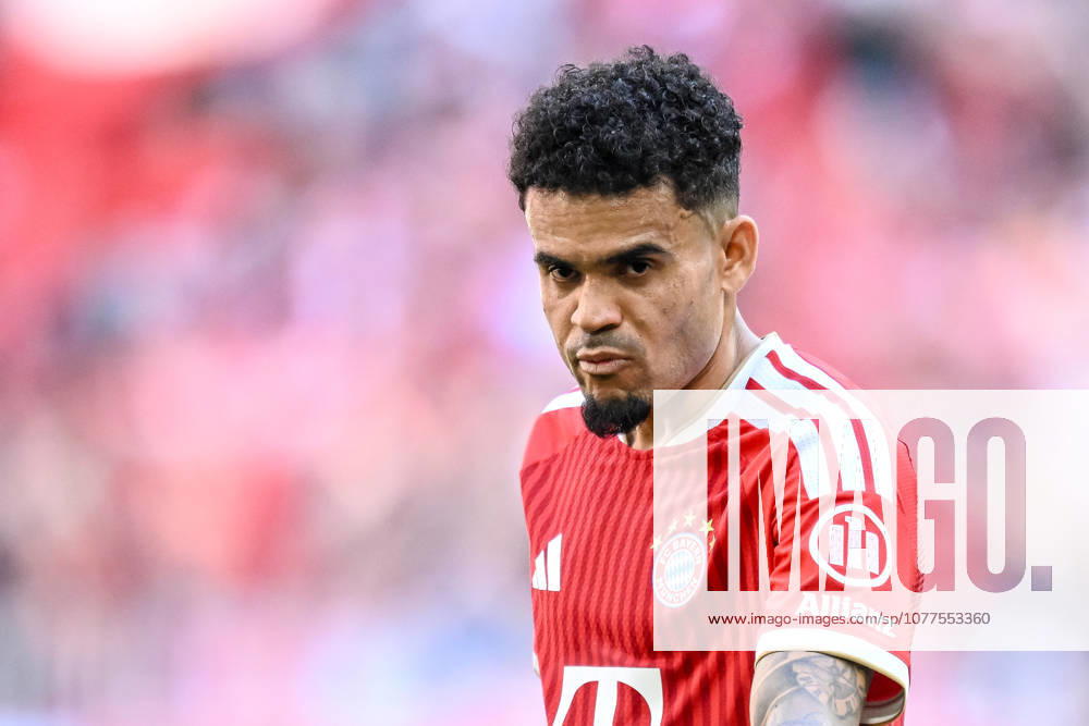 Luis Diaz FC Bayern München Looks on during the Bundesliga match between FC Bayern München and 1 FC Köln, Allianz Arena am 16 May 2026 in München, Germany Photo by Harry Langer DeFodi Images Luis Diaz FC Bayern München Looks on during the Bundesliga match between FC Bayern München and 1 FC Köln at Allianz Arena on May 16, 2026 in München, Germany Photo by Harry Langer DeFodi Images DFL regulations prohibit any use of photographs as image sequences and or quasi video Photo by Harry Langer DeFodi Images DFL regulations prohibit any use of photographs as image sequences and or quasi video