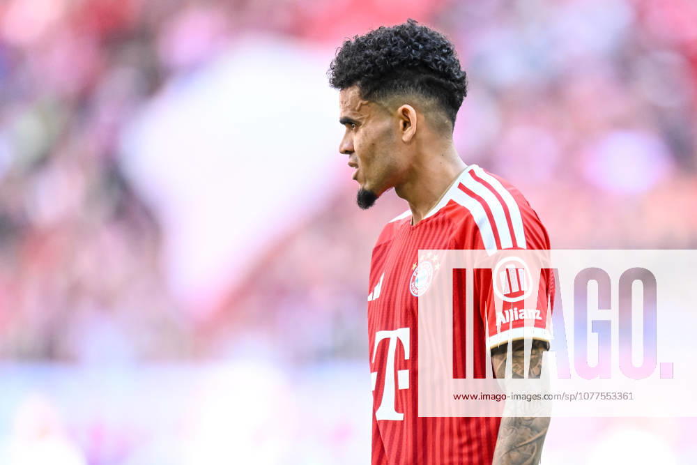 Luis Diaz FC Bayern München Looks on during the Bundesliga match between FC Bayern München and 1 FC Köln, Allianz Arena am 16 May 2026 in München, Germany Photo by Harry Langer DeFodi Images Luis Diaz FC Bayern München Looks on during the Bundesliga match between FC Bayern München and 1 FC Köln at Allianz Arena on May 16, 2026 in München, Germany Photo by Harry Langer DeFodi Images DFL regulations prohibit any use of photographs as image sequences and or quasi video Photo by Harry Langer DeFodi Images DFL regulations prohibit any use of photographs as image sequences and or quasi video