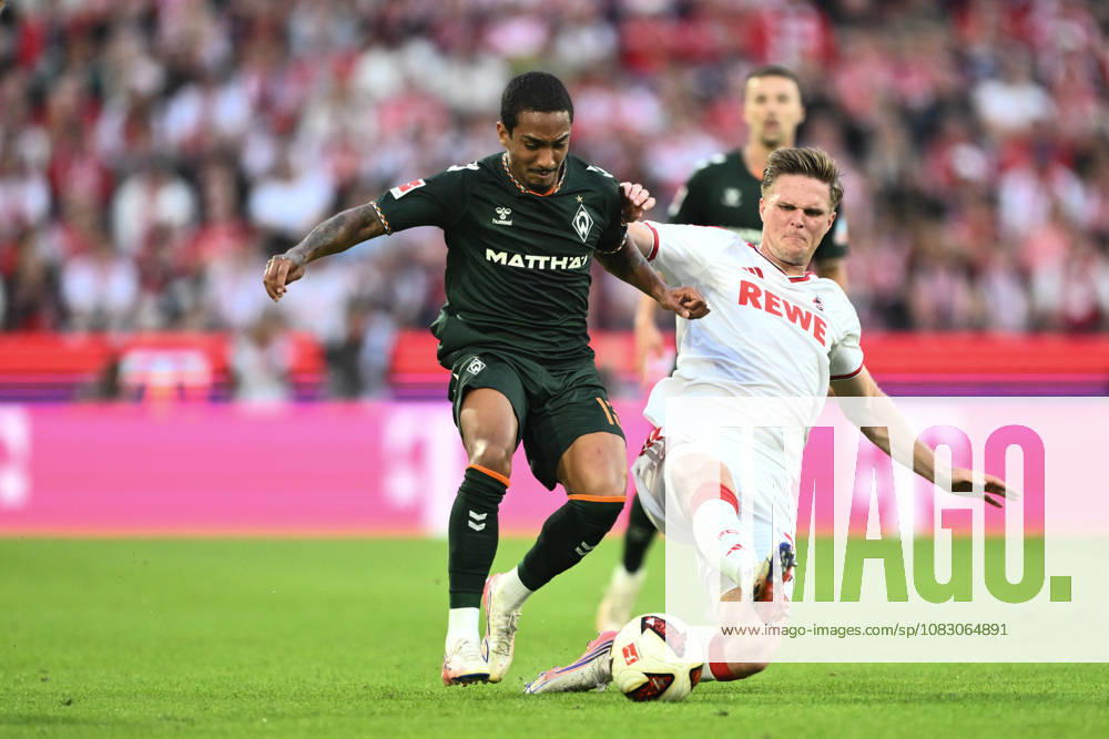 GER, Soccer, Men s, 1. Bundesliga, 2026–2027 Season, Matchday 3, 1. FC Köln vs. SV Werder Bremen. Arthur (Werder Bremen), 13, in a tackle with Marius Bülter (1. FC Köln), 30. DFB and DFL regulations prohibit any use of photographs as image sequences and or quasi-video. Köln Rhein Energie Stadium, NRW, Germany