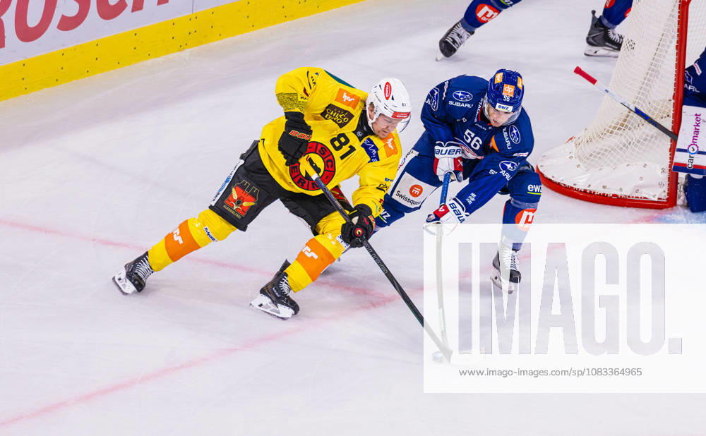 Ice Hockey National League Regular Season: ZSC Lions vs. SC Ber Zurich, Switzerland, September 15, 2026. Faceoff between No. 81 Rodrigo Abols of Bern and No. 56 Tim Berni of the ZSC Lions