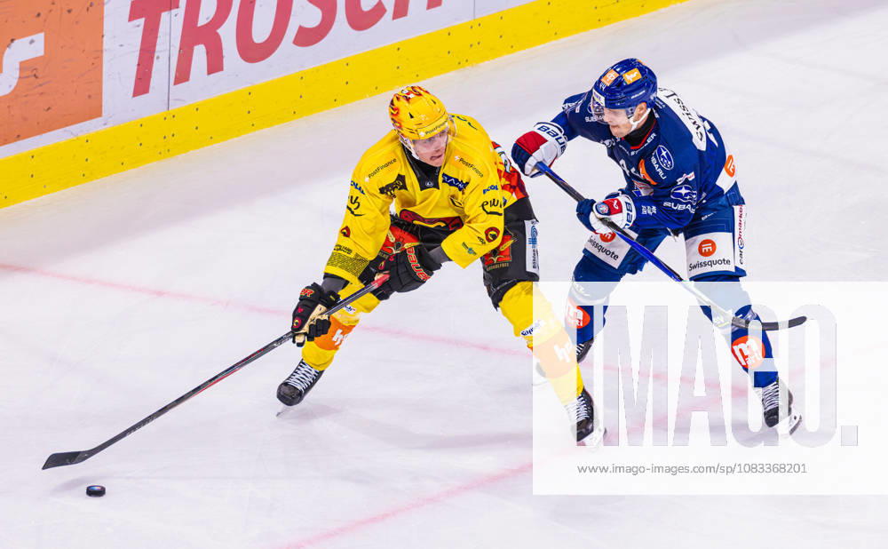 Ice Hockey National League Regular Season: ZSC Lions vs. SC Ber Zurich, Switzerland, September 15, 2026. Top scorer Waltteri Merelä of Bern shields the puck in a duel against Mikko Lehtonen (No. 44) of the ZSC Lions.