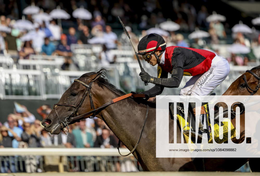 Evanescence (4) ridden by Jose Ortiz wins the Thoroughbred Club of America Stakes (Grade 2) on Coolmore Turf Mile Day at Keeneland in Lexington, Kentucky on October 3, 2026. Eclipse Sportswire CSM HORSE RACING 2026: Thoroughbred Club Of America WAYI Keeneland OCT 03 - ZUMAcs17 20261003_faf_cs17_040
