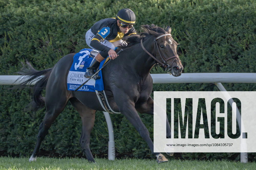 HORSE RACING 2026: Coolmore Turf Mile WAYI Keeneland OCT 03 October 3, 2026, Lexington, Kentucky, USA: Rhetorical (3) ridden by Irad Ortiz Jr. wins the Coolmore Turf Mile (Grade 1) on October 3, 2026. Jessica Morgan Eclipse Sportswire CSM(Credit Image: Â Cal Media) Lexington Kentucky USA