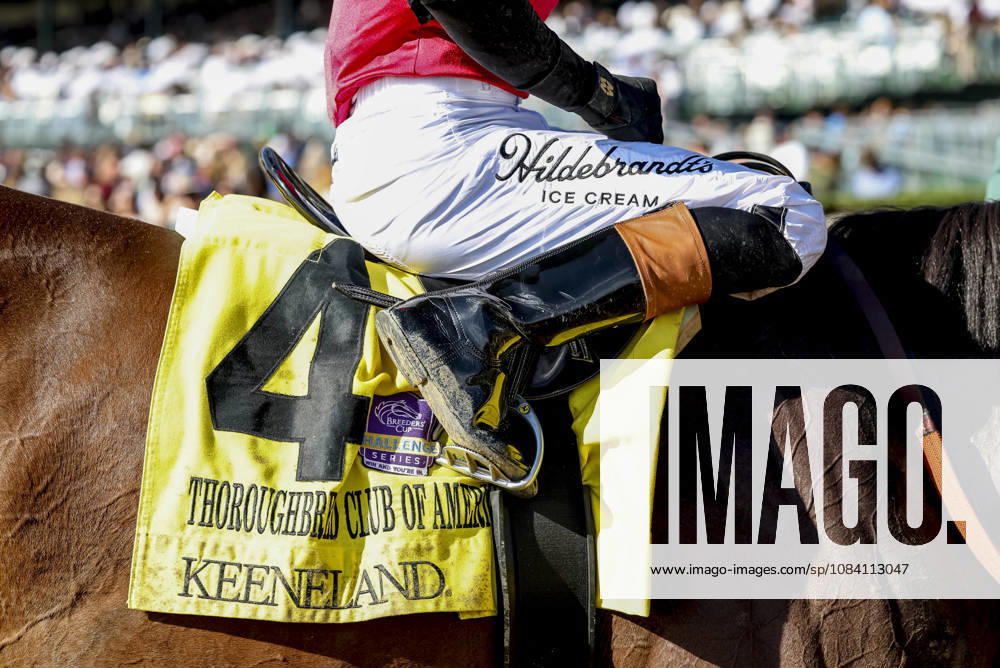 Evanescence (4) ridden by Jose Ortiz wins the Thoroughbred Club of America Stakes (Grade 2) at Keeneland in Lexington, Kentucky on October 3, 2026. Eclipse Sportswire CSM HORSE RACING 2026: Thoroughbred Club Of America WAYI Keeneland OCT 03 - ZUMAcs17 20261003_faf_cs17_307