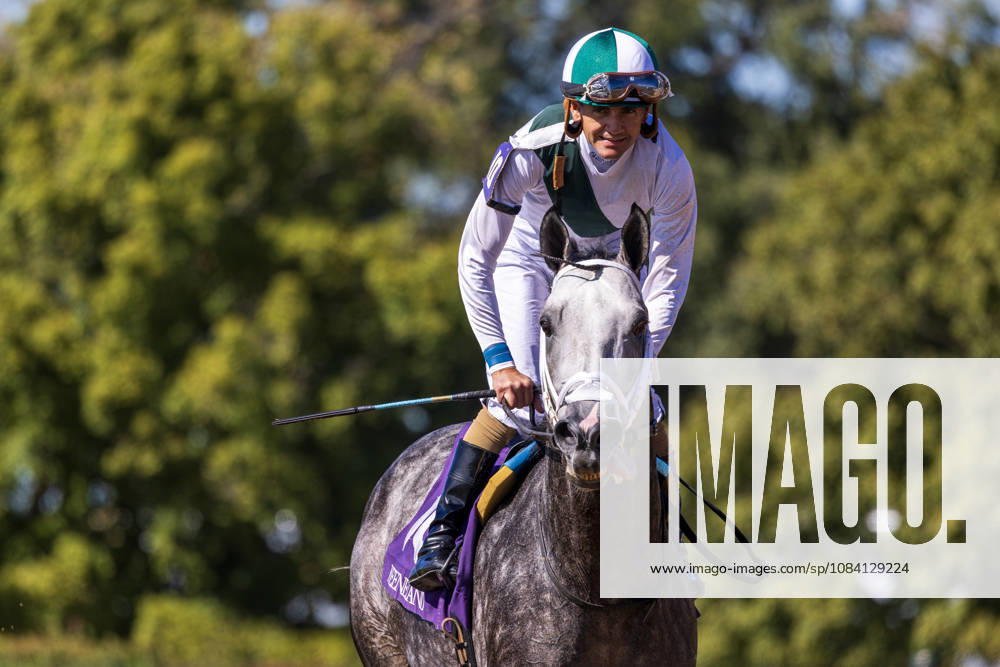 Who Dey (10) ridden by Brian Hernandez Jr. wins an allowance optional claiming race at Keeneland Race Course on October 3, 2026. Eclipse Sportswire CSM Lexington USA - ZUMAcs17 20261003_faf_cs17_342
