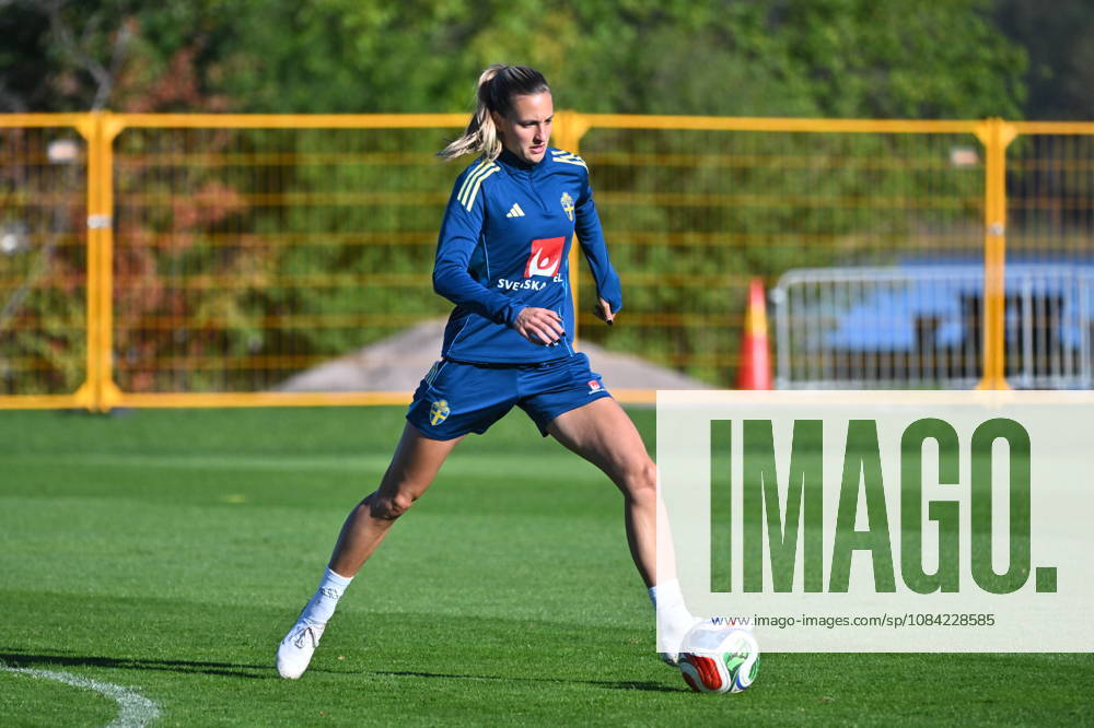 — Amanda Ilestedt, Nathalie Björn, Evelyn Ijeh, and Hanna Bennison as the women’s national team trains at Bosön ahead of the playoff for the 2027 World Cup STOCKHOLM, SWEDEN