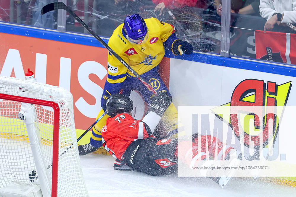 Ice Hockey, CHL, Kölner Haie vs. Blue Fox Herning, Champions Hockey League 2026–27, Matchday 5, 2026–27 Season, Lanxess Arena, Cologne: Lukas Bang of Blue Fox Herning (No. 29) battles Luca Münzenberger of the Kölner Haie (No. 75) in North Rhine-Westphalia, Germany