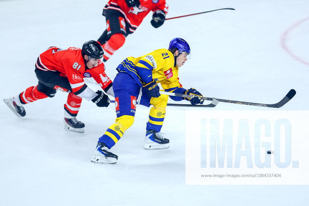 Ice Hockey, CHL, Kölner Haie vs. Blue Fox Herning, Champions Hockey League 2026–27, Matchday 5, 2026–27 Season, Lanxess Arena, Cologne; Mateu Späth (Cologne Sharks, No. 81) in a battle against Hjalte Kruse Thomsen (Blue Fox Herning, No. 21); North Rhine-Westphalia, Germany