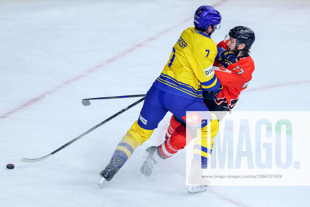 Ice Hockey, CHL, Kölner Haie vs. Blue Fox Herning, Champions Hockey League 2026–27, Matchday 5, 2026–27 Season, Lanxess Arena, Cologne: John Terrance Amorosa of Blue Fox Herning No. 07 battles Ryan MacInnis of the Kölner Haie No. 77, North Rhine-Westphalia, Germany