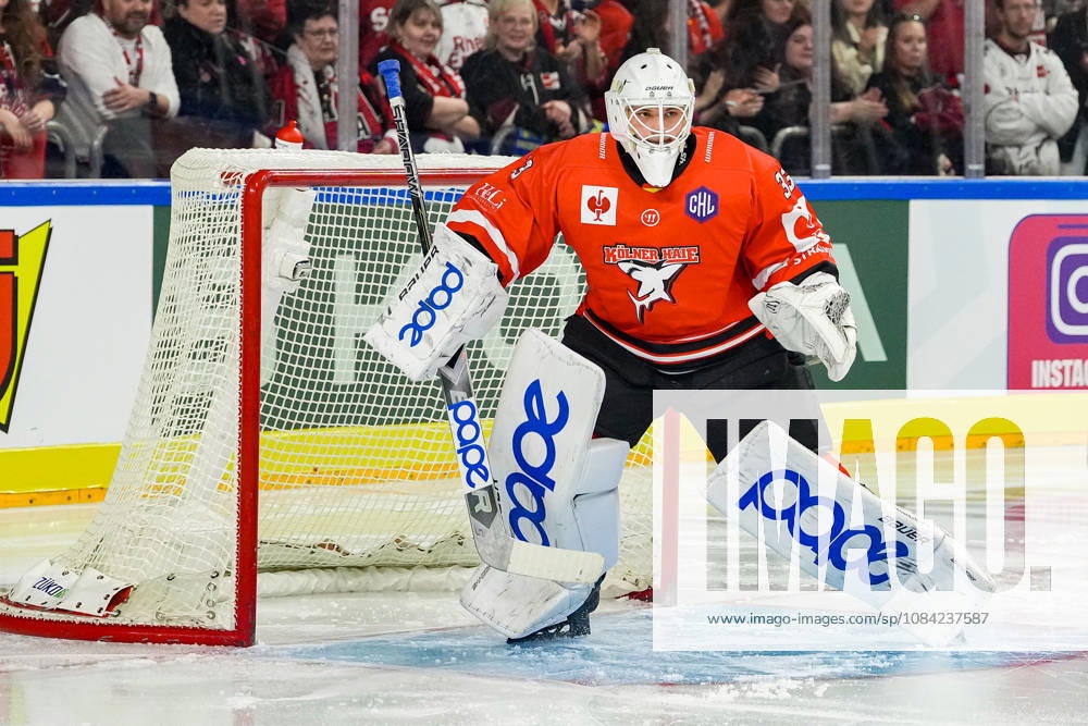 Ice Hockey CHL, Matchday 5: Kölner Haie vs. Herning Blue Fox on October 7, 2026, at the Lanxess Arena in Cologne. Nico Wiens of Cologne, the third goalie, made his debut today.