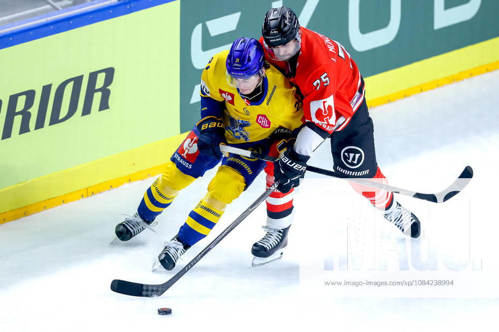 Ice Hockey, CHL, Kölner Haie vs. Blue Fox Herning, Champions Hockey League 2026–27, Matchday 5, 2026–27 Season, Lanxess Arena, Cologne; Hjalte Kruse Thomsen of Blue Fox Herning (No. 21) in a battle with Luca Münzenberger of Kölner Haie (No. 75); North Rhine-Westphalia, Germany
