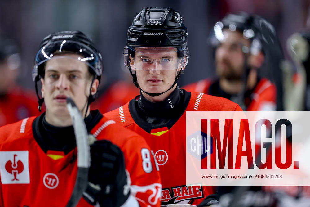 Ice hockey, CHL, Kölner Haie vs. Blue Fox Herning, Champions Hockey League 2026–27, Matchday 5, 2026–27 season, Lanxess Arena, Cologne; Celebrations following the 3–0 victory; Maximilian Kammerer, Kölner Haie 09, North Rhine-Westphalia, Germany