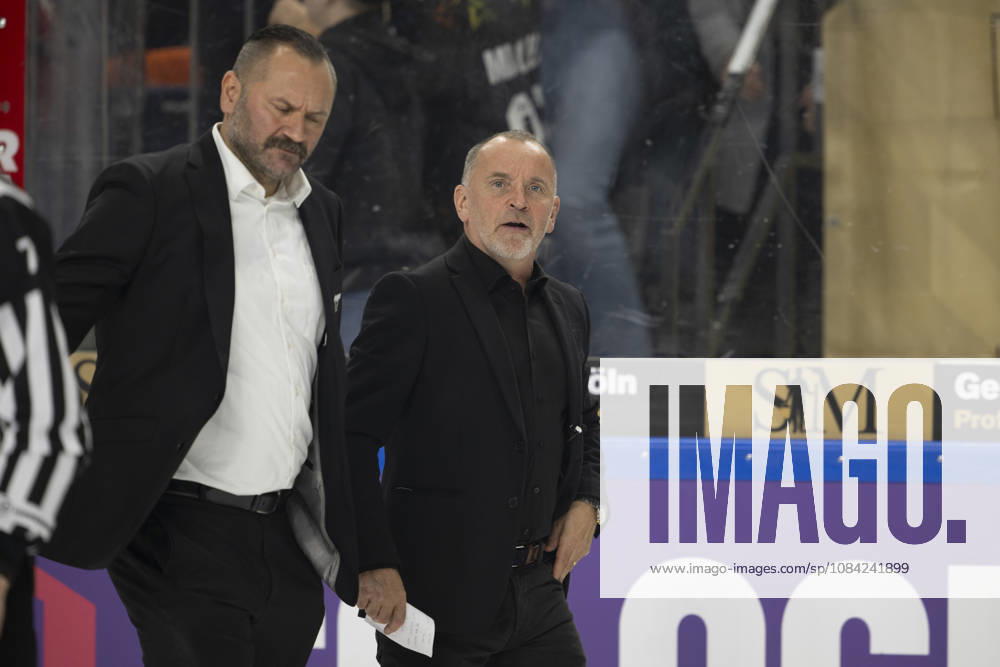 CHL Kölner Haie vs. Herning Blue Fox, Cologne, October 7, 2026 Thomas Berglund, Head Coach of the Kölner Haie, CHL Kölner Haie vs. Herning Blue Fox on October 7, 2026, at the Lanxess Arena in Cologne, Germany