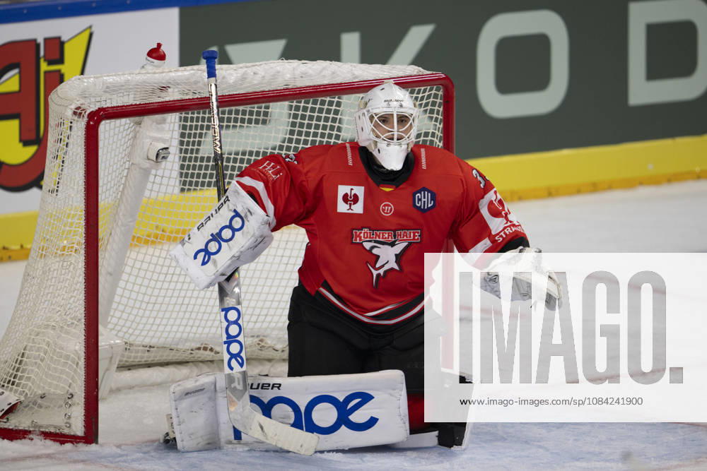 CHL Cologne Sharks vs. Herning Blue Fox, Cologne, October 7, 2026; Nico Wiens, Cologne Sharks, goaltender, 33; CHL Cologne Sharks vs. Herning Blue Fox on October 7, 2026, at the Lanxess Arena in Cologne, Germany