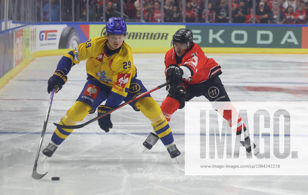 Head-to-head: Lukas Bang (Herning Blue Fox, 29) vs. Daniel Fischbuch (Kölner Haie, 71), GER; Kölner Haie vs. Herning Blue Fox, ice hockey, DEL, 2026–2027 season, October 7, 2026 GER, Cologne Haie vs. Herning Blue Fox, Ice Hockey, DEL, 2026–2027 season, October 7, 2026 Germany