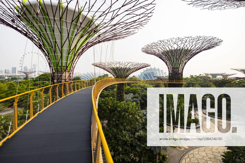 F1 - SINGAPORE GRAND PRIX 2026 Gardens by the Bay, ambiance during the 2026 Formula 1 Singapore Grand Prix, 17th round of the 2026 Formula One World Championship, WM, Weltmeisterschaft from October 9 to 11, 2026 on the Marina Bay Street Circuit, in Singapore, Singapore - SingaporeSingapore