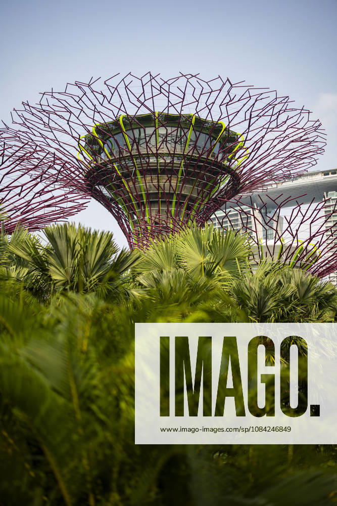 F1 - SINGAPORE GRAND PRIX 2026 Gardens by the Bay, ambiance during the 2026 Formula 1 Singapore Grand Prix, 17th round of the 2026 Formula One World Championship, WM, Weltmeisterschaft from October 9 to 11, 2026 on the Marina Bay Street Circuit, in Singapore, Singapore - SingaporeSingapore