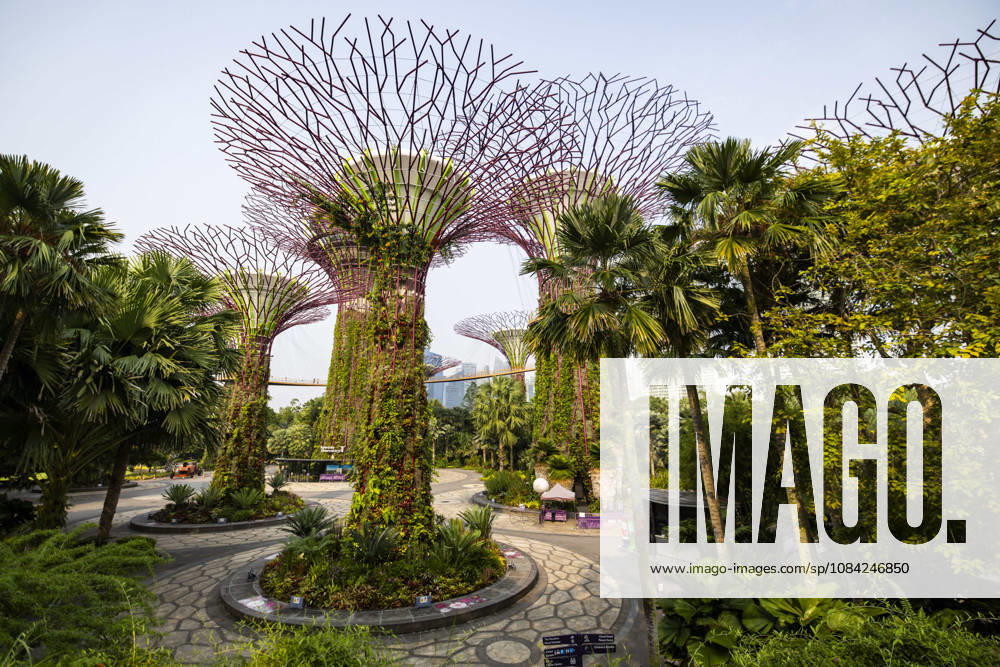 F1 - SINGAPORE GRAND PRIX 2026 Gardens by the Bay, ambiance during the 2026 Formula 1 Singapore Grand Prix, 17th round of the 2026 Formula One World Championship, WM, Weltmeisterschaft from October 9 to 11, 2026 on the Marina Bay Street Circuit, in Singapore, Singapore - SingaporeSingapore