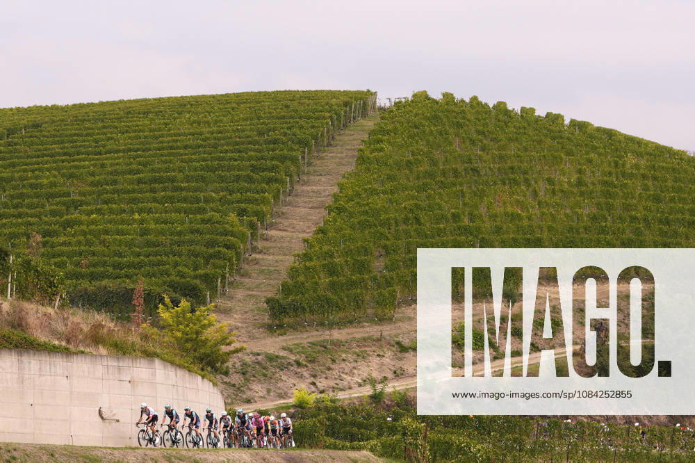 The pack rides during the 110th edition of the Gran Piemonte 2026 a 185 km one day race from Asti to Bra on October 08, 2026, Italy.