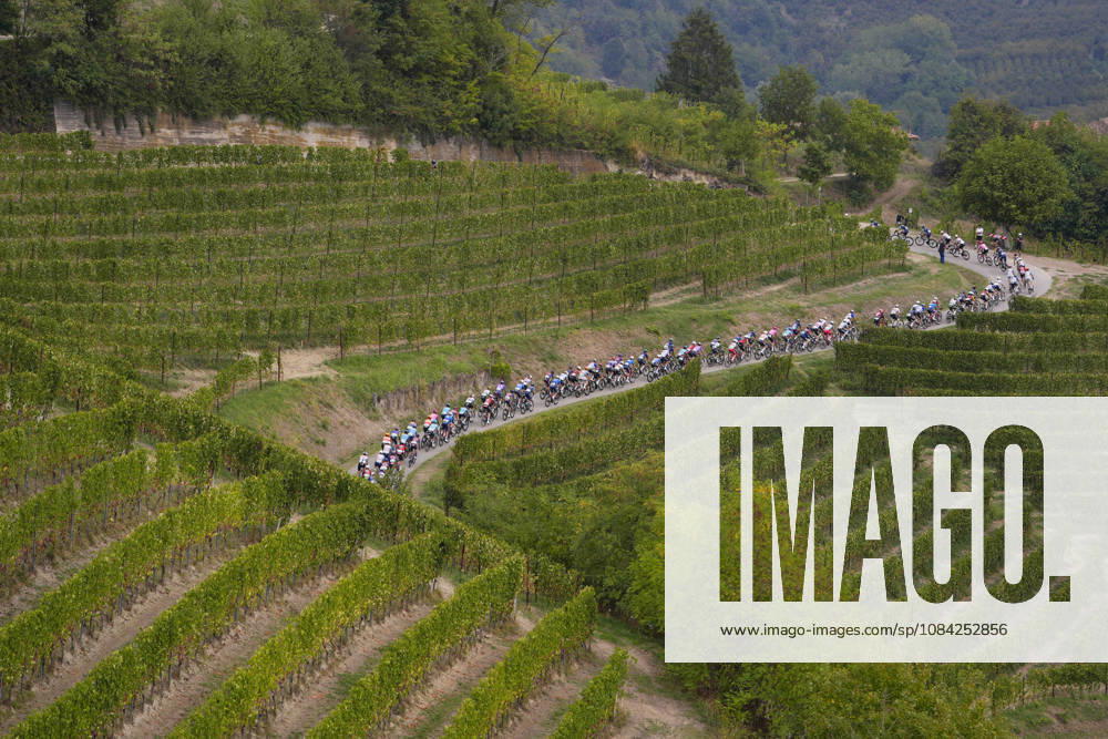 The pack rides during the 110th edition of the Gran Piemonte 2026 a 185 km one day race from Asti to Bra on October 08, 2026, Italy.
