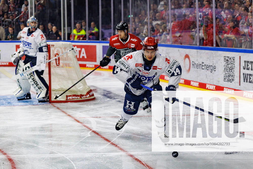 COLONGE, GERMANY - 9 OCTOBER 2026: Image shows Valk Curtis (Schwenninger Wild Wings, 14) during PENNY DEL 2026 27 Regular Season, Matchday 7: Kölner Haie vs Schwenninger Wild Wings at LANXESS arena on 9 10 2026 in Colonge, Germany. Germany