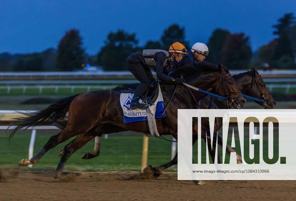 HORSE RACING 2026: QEII GI Day Keeneland OCT 10 October 10, 2026, Lexington, Ky, USA: Magnitude works in preparation for the Breeders Cup on QEII GI Day on October 10, 2026. Candice Chavez Eclipse Sportswire CSM(Credit Image: Â {Serial Cal Media) Lexington Ky USA