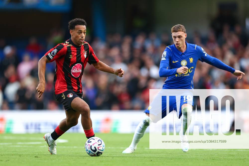 Tyler Adams of AFC Bournemouth under pressure from Cole Palmer of Chelsea Chelsea v Bournemouth, Premier League, Football, Stamford Bridge, London, UK - 10 Oct 2026London Stamford Bridge United Kingdom