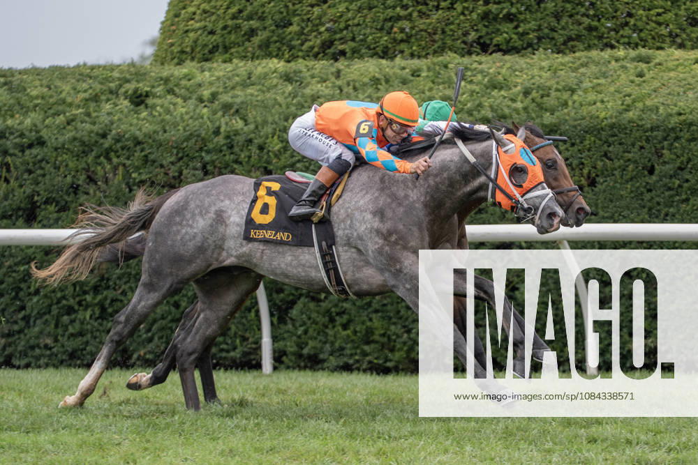 Merlin Monroan (6) ridden by Tyler Gaffalionhe wins an allowance on QEII Day on October 10, 2026. Jessica Morgan Eclipse Sportswire CSM HORSE RACING 2026: QEII GI Day Keeneland OCT 10 - ZUMAcs17 20261010_faf_cs17_003