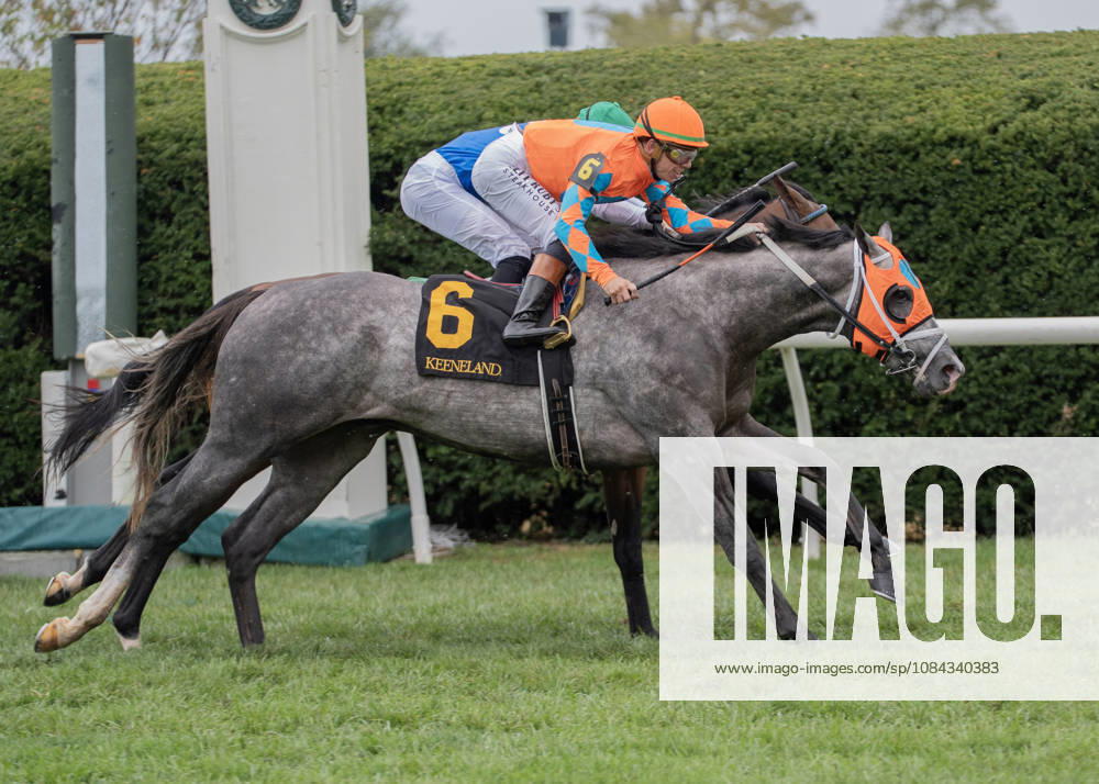 HORSE RACING 2026: QEII GI Day Keeneland OCT 10 October 10, 2026, Lexington, Kentucky, USA: Merlin Monroan (6) ridden by Tyler Gaffalionhe wins an allowance on QEII Day on October 10, 2026. Jessica Morgan Eclipse Sportswire CSM(Credit Image: Â Cal Media) Lexington Kentucky USA