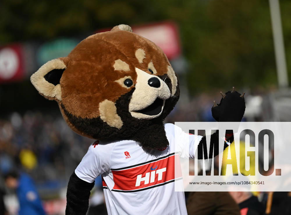 Soccer 3rd Division, Fortuna Cologne vs. Saarbrücken, Fortuna Cologne mascot Fred Cologne