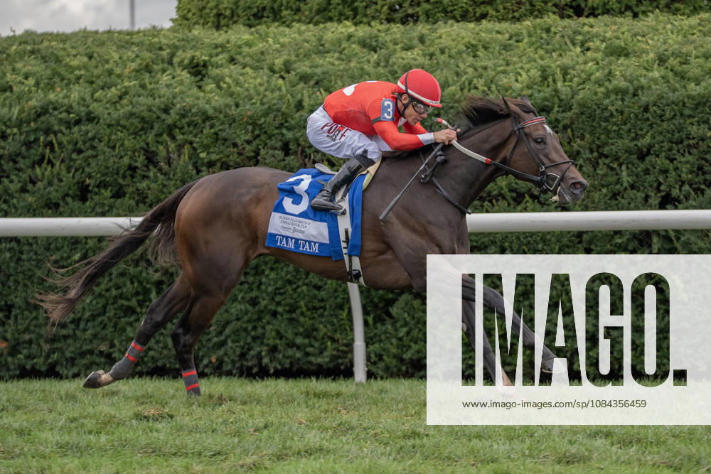 HORSE RACING 2026: QEII GI Day Keeneland OCT 10 October 10, 2026, Lexington, Kentucky, USA: Tam Tam (3) ridden by Junior Alvarado wins the Queen Elizabeth II Challenge Cup Stakes (Grade 1) Presented by Dixiana on October 10, 2026. Jessica Morgan Eclipse Sportswire CSM(Credit Image: Â Cal Media) Lexington Kentucky USA