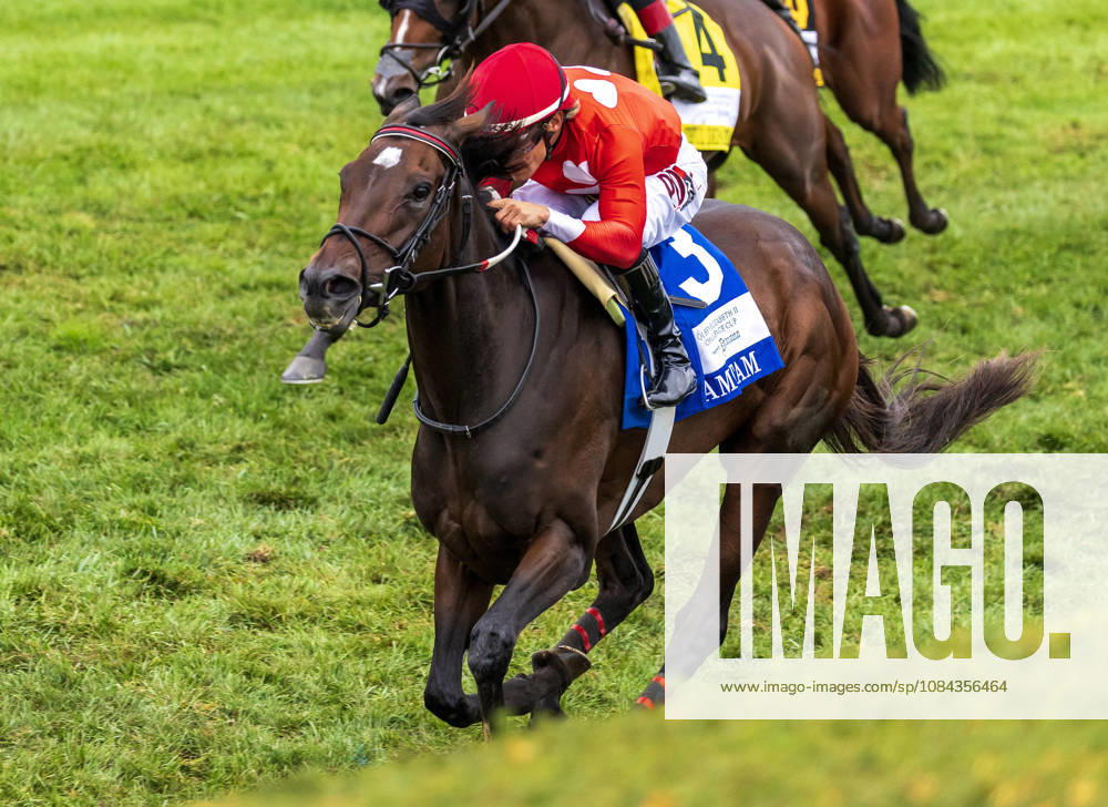 HORSE RACING 2026: QEII GI Day Keeneland OCT 10 October 10, 2026, Lexington, Ky, USA: Tam Tam (3) ridden by Junior Alvarado wins the Queen Elizabeth II Challenge Cup on QEII GI Day on October 10, 2026. Candice Chavez Eclipse Sportswire CSM(Credit Image: Â {Serial Cal Media) Lexington Ky USA