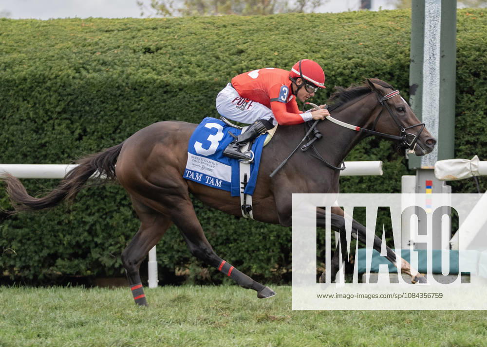 HORSE RACING 2026: QEII GI Day Keeneland OCT 10 October 10, 2026, Lexington, Kentucky, USA: Tam Tam (3) ridden by Junior Alvarado wins the Queen Elizabeth II Challenge Cup Stakes (Grade 1) Presented by Dixiana on October 10, 2026. Jessica Morgan Eclipse Sportswire CSM(Credit Image: Â Cal Media) Lexington Kentucky USA