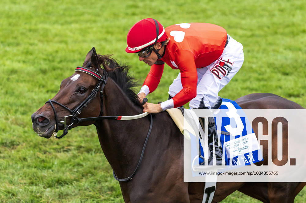 HORSE RACING 2026: QEII GI Day Keeneland OCT 10 October 10, 2026, Lexington, Ky, USA: Tam Tam (3) ridden by Junior Alvarado wins the Queen Elizabeth II Challenge Cup on QEII GI Day on October 10, 2026. Candice Chavez Eclipse Sportswire CSM(Credit Image: Â {Serial Cal Media) Lexington Ky USA
