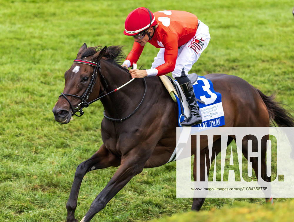 HORSE RACING 2026: QEII GI Day Keeneland OCT 10 October 10, 2026, Lexington, Ky, USA: Tam Tam (3) ridden by Junior Alvarado wins the Queen Elizabeth II Challenge Cup on QEII GI Day on October 10, 2026. Candice Chavez Eclipse Sportswire CSM(Credit Image: Â {Serial Cal Media) Lexington Ky USA