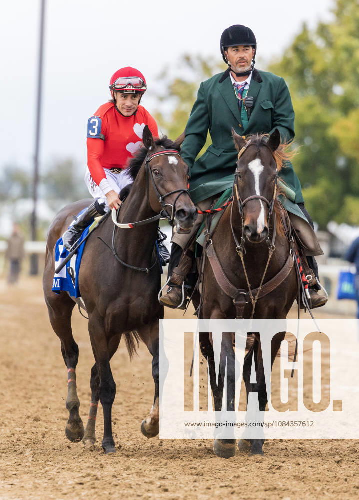 HORSE RACING 2026: QEII GI Day Keeneland OCT 10 October 10, 2026, Lexington, Ky, USA: Tam Tam (3) ridden by Junior Alvarado wins the Queen Elizabeth II Challenge Cup on QEII GI Day on October 10, 2026. Candice Chavez Eclipse Sportswire CSM(Credit Image: Â {Serial Cal Media) Lexington Ky USA
