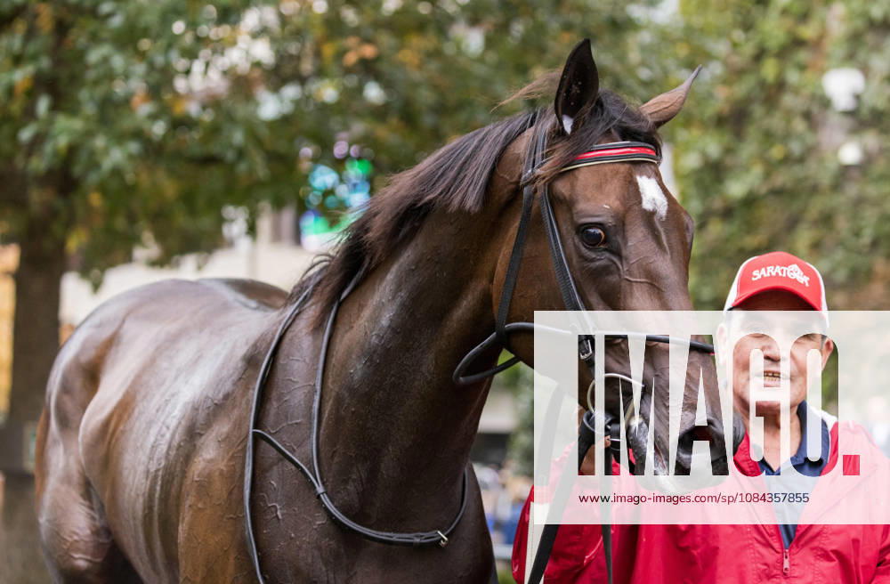 HORSE RACING 2026: QEII GI Day Keeneland OCT 10 October 10, 2026, Lexington, Ky, USA: Tam Tam (3) ridden by Junior Alvarado wins the Queen Elizabeth II Challenge Cup on QEII GI Day on October 10, 2026. Candice Chavez Eclipse Sportswire CSM(Credit Image: Â {Serial Cal Media) Lexington Ky USA