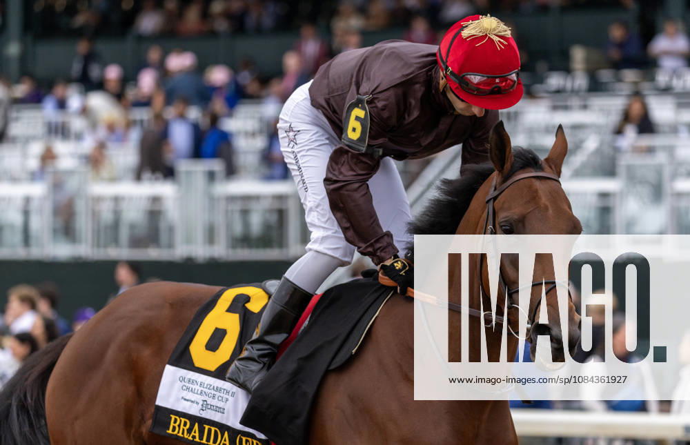 HORSE RACING 2026: QEII GI Day Keeneland OCT 10 October 10, 2026, Lexington, Ky, USA: Braida (FR) (6) ridden by Vincent Cheminaud in the post parade for the Queen Elizabeth II Challenge Cup on QEII GI Day on October 10, 2026. Candice Chavez Eclipse Sportswire CSM(Credit Image: Â {Serial Cal Media) Lexington Ky USA