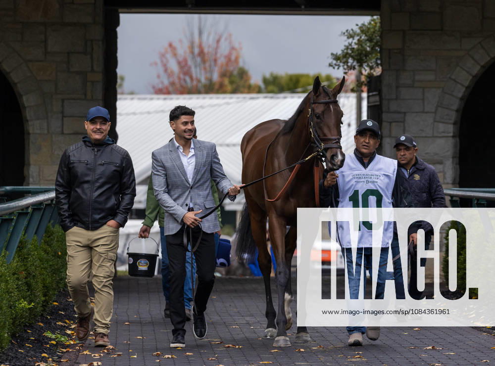 HORSE RACING 2026: QEII GI Day Keeneland OCT 10 October 10, 2026, Lexington, Ky, USA: Deep Learning (10) in the paddock before the Queen Elizabeth II Challenge Cup on QEII GI Day on October 10, 2026. Candice Chavez Eclipse Sportswire CSM(Credit Image: Â {Serial Cal Media) Lexington Ky USA