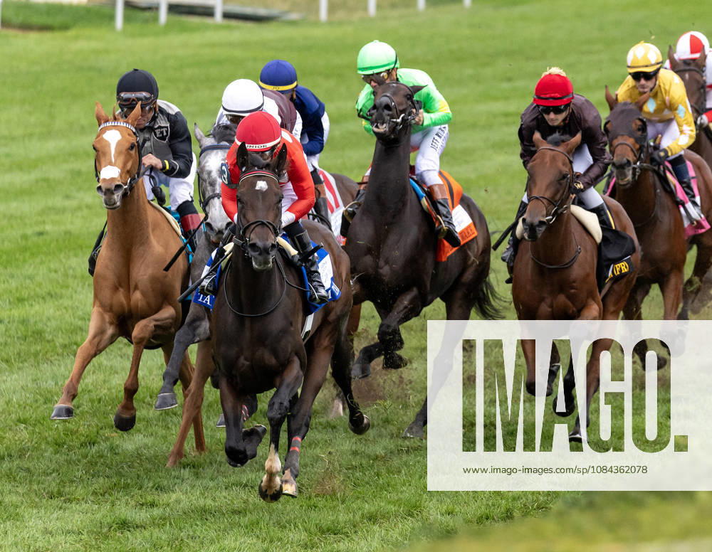 HORSE RACING 2026: QEII GI Day Keeneland OCT 10 October 10, 2026, Lexington, Ky, USA: Tam Tam (3) ridden by Junior Alvarado wins the Queen Elizabeth II Challenge Cup on QEII GI Day on October 10, 2026. Candice Chavez Eclipse Sportswire CSM(Credit Image: Â {Serial Cal Media) Lexington Ky USA