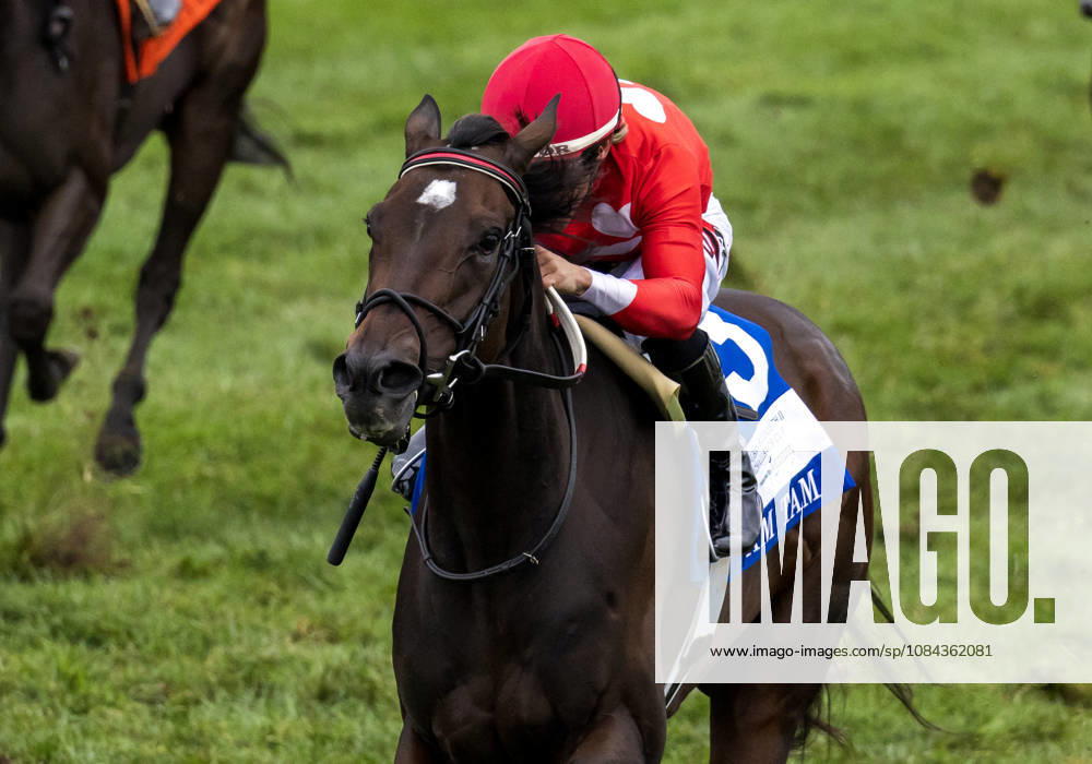 HORSE RACING 2026: QEII GI Day Keeneland OCT 10 October 10, 2026, Lexington, Ky, USA: Tam Tam (3) ridden by Junior Alvarado wins the Queen Elizabeth II Challenge Cup on QEII GI Day on October 10, 2026. Candice Chavez Eclipse Sportswire CSM(Credit Image: Â {Serial Cal Media) Lexington Ky USA