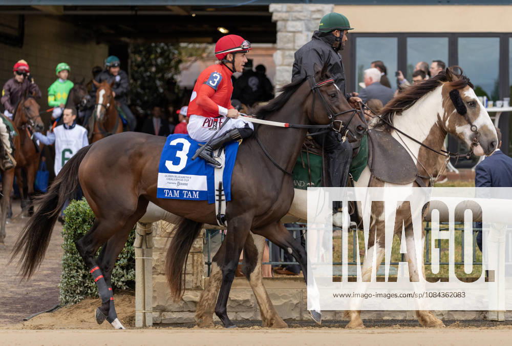 HORSE RACING 2026: QEII GI Day Keeneland OCT 10 October 10, 2026, Lexington, Ky, USA: Tam Tam (3) ridden by Junior Alvarado in the post parade for the Queen Elizabeth II Challenge Cup on QEII GI Day on October 10, 2026. Candice Chavez Eclipse Sportswire CSM(Credit Image: Â {Serial Cal Media) Lexington Ky USA