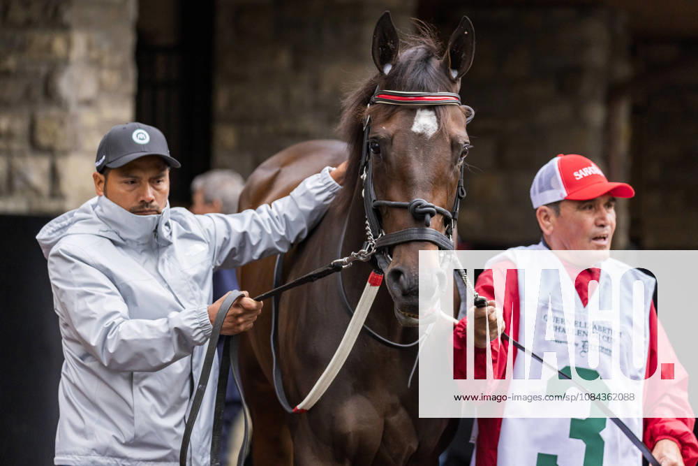 HORSE RACING 2026: QEII GI Day Keeneland OCT 10 October 10, 2026, Lexington, Ky, USA: Tam Tam (3) in the paddock before the Queen Elizabeth II Challenge Cup on QEII GI Day on October 10, 2026. Candice Chavez Eclipse Sportswire CSM(Credit Image: Â {Serial Cal Media) Lexington Ky USA
