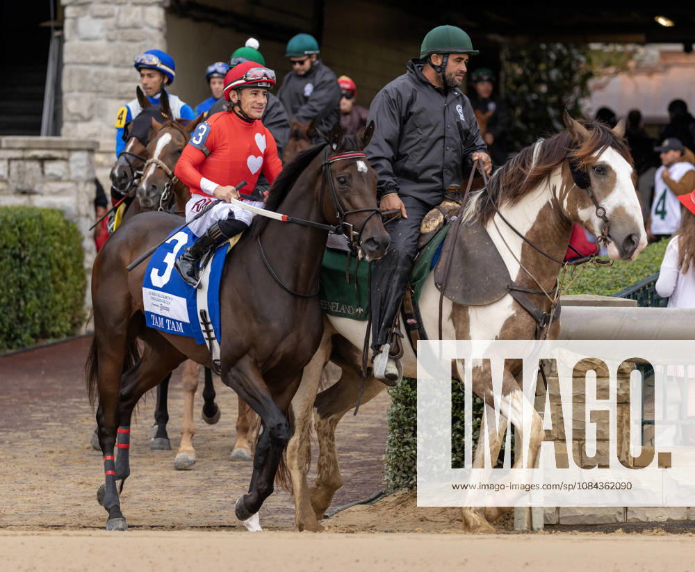 HORSE RACING 2026: QEII GI Day Keeneland OCT 10 October 10, 2026, Lexington, Ky, USA: Tam Tam (3) ridden by Junior Alvarado in the post parade for the Queen Elizabeth II Challenge Cup on QEII GI Day on October 10, 2026. Candice Chavez Eclipse Sportswire CSM(Credit Image: Â {Serial Cal Media) Lexington Ky USA