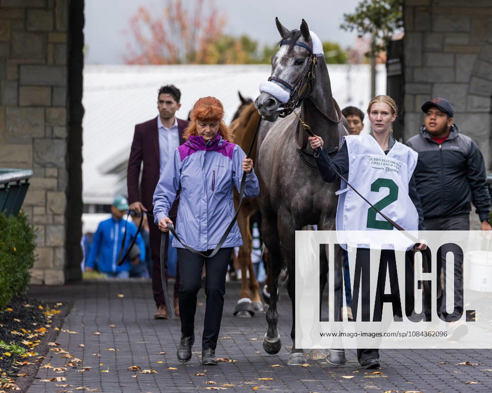 HORSE RACING 2026: QEII GI Day Keeneland OCT 10 October 10, 2026, Lexington, Ky, USA: Luster (2) in the paddock before the Queen Elizabeth II Challenge Cup on QEII GI Day on October 10, 2026. Candice Chavez Eclipse Sportswire CSM(Credit Image: Â {Serial Cal Media) Lexington Ky USA