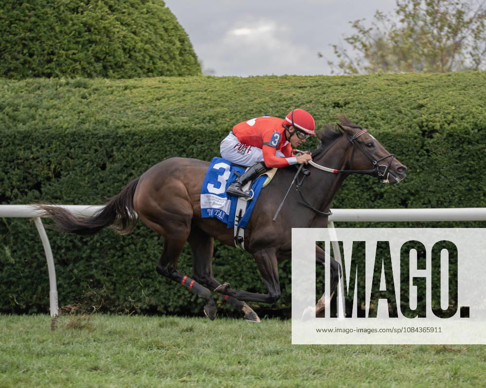 HORSE RACING 2026: QEII GI Day Keeneland OCT 10 October 10, 2026, Lexington, Kentucky, USA: Tam Tam (3) ridden by Junior Alvarado wins the Queen Elizabeth II Challenge Cup Stakes (Grade 1) Presented by Dixiana on October 10, 2026. Jessica Morgan Eclipse Sportswire CSM(Credit Image: Â Cal Media) Lexington Kentucky USA