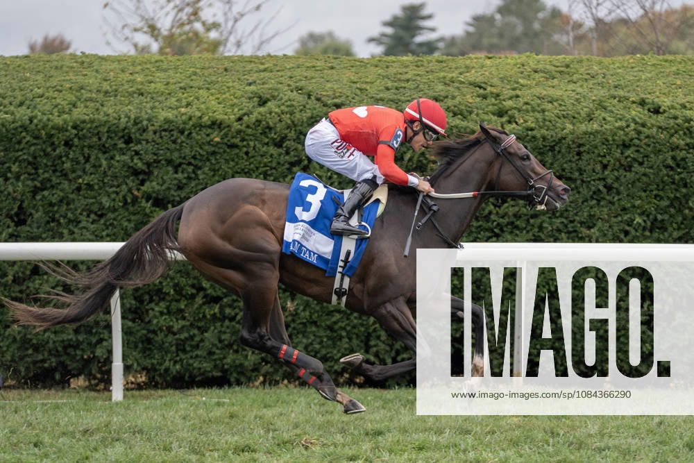 HORSE RACING 2026: QEII GI Day Keeneland OCT 10 October 10, 2026, Lexington, Kentucky, USA: Tam Tam (3) ridden by Junior Alvarado wins the Queen Elizabeth II Challenge Cup Stakes (Grade 1) Presented by Dixiana on October 10, 2026. Jessica Morgan Eclipse Sportswire CSM(Credit Image: Â Cal Media) Lexington Kentucky USA