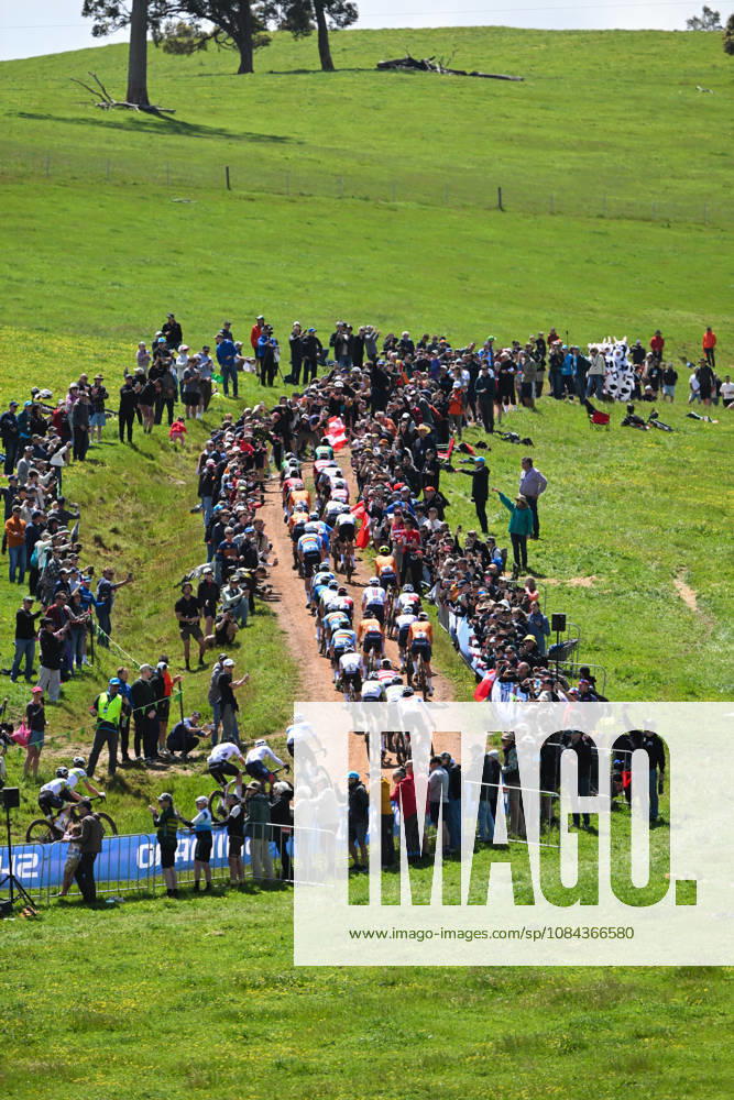 2026 UCI Gravel World Championships Picture by Zac Williams SWpix.com - 11 10 2026 - Cycling - 2026 UCI Gravel World Championships - Nannup, Western Australia, Australia - Mens Elite - The peloton
