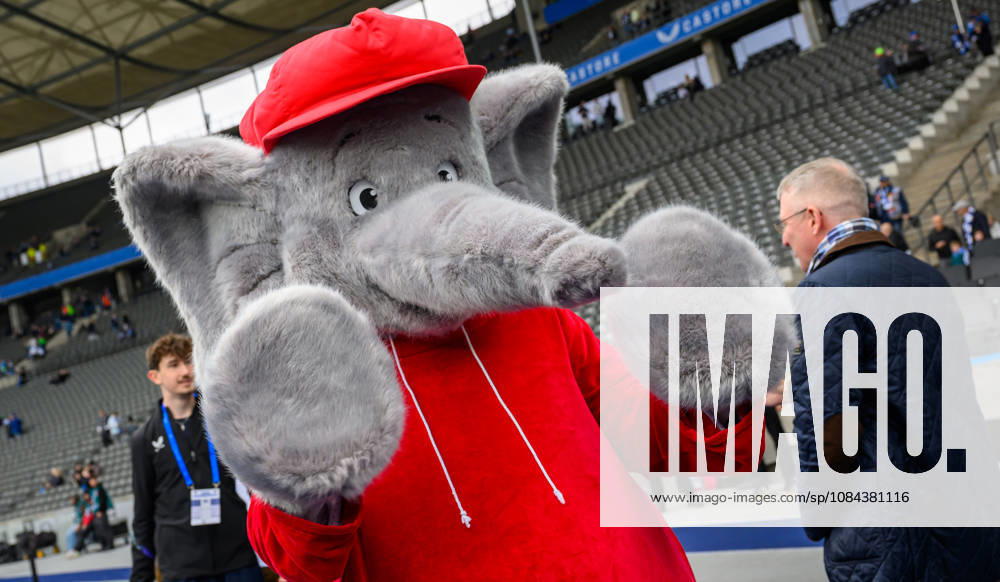 Soccer Season 2026–2027, Matchday 2, Bundesliga, Hertha BSC Berlin vs. SpVgg Greuther Fürth (Kleeblatt), Sports photo by Zink . DFL regulations prohibit any use of photographs as image sequences and or quasi-video; for editorial use only for editorial use only. Mascots