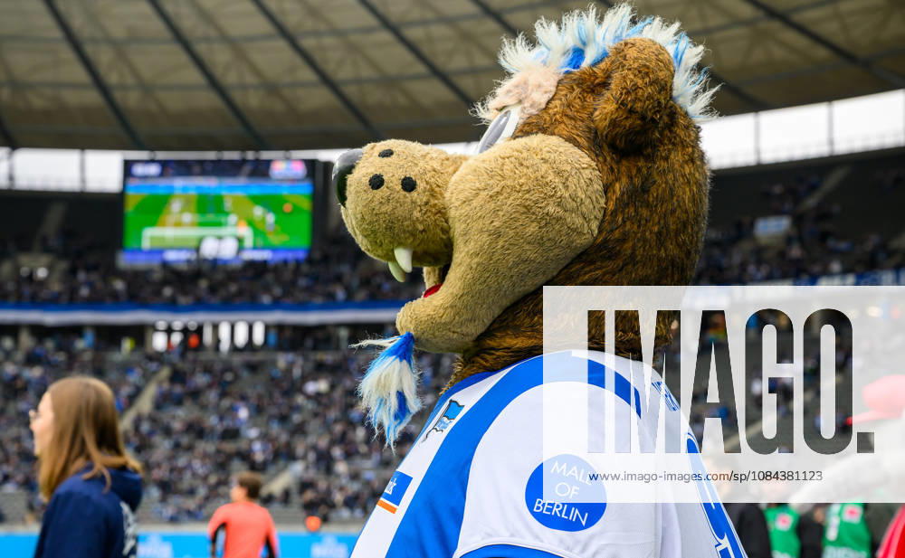 Soccer Season 2026–2027, Matchday 2, Bundesliga, Hertha BSC Berlin vs. SpVgg Greuther Fürth (Kleeblatt), Sports photo by Zink . DFL regulations prohibit any use of photographs as image sequences and or quasi-video; for editorial use only for editorial use only. Mascots
